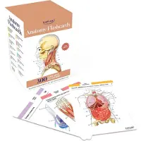 Kaplan Anatomy Flashcards: 300 Flashcards With Anatomically Precise Drawings And Exhaustive Descriptions