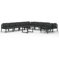 vidaXL 11-delige Loungeset met kussens aluminium antracietkleurig