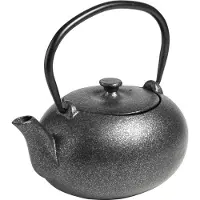 Jamon Cast Iron Doha 300ml Teapot Zilver