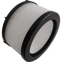 Rowenta X-Force Flex 9.60 / ZR009012 na-motor filter (1 stuk, origineel)