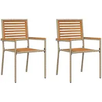 vidaXL Tuin stapelstoelen 2 st Bruin en Beige