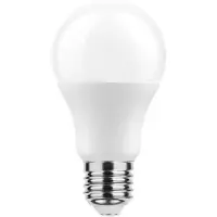 Technik LED Globelamp G80 E27 Mat - 11.1W 1055lm 6000K - Koudwit - Vervangt 75W