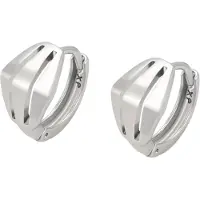 NAEMI Oorbellen zilver