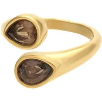 Ixxxi Fame Ring Lyra | Goud