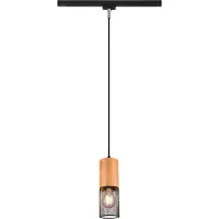 TRIO Hanglamp Tosh Voor Railverlichting