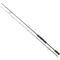 Daiwa Infeet Seabass Spinning Rod Zilver 2.51 m / 10-35 g