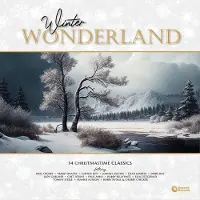 Coast2Coast Various Artists - Winter Wonderland: 14 Christmastime Classics (LP) (Coloured Vinyl)