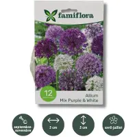 Famiflora Allium Mix Paars/Wit - Voorjaarsbloeiers - 12 bloembollen - Bloeien van vroege lente tot middenjaar voor langdurige kleur en levendigheid in je tuin