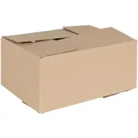 vidaXL Vouwdoos met opslag 50 st Naturel 30 x 21,5 x 14 cm Karton