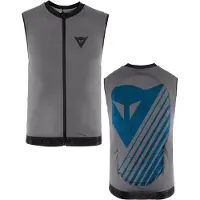 Dainese Snow Backprotector Kids Scarabeo Flexagon Waistcoat 2 Silver Filigree/Stellar-L