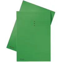 Esselte inlegmap karton met lijnbedrukking en 10 mm overslag groen A4 (100 stuks)