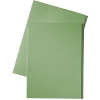 Esselte inlegmap van dossierkarton met 10 mm overslag folio groen (100 stuks)