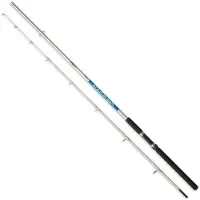 Zunzun Mar De Plata Spinning Rod Zilver 2.40 m / 80-120 g