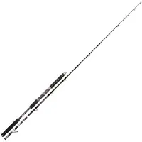 Hart Toro Electric Fk Jigging Rod Zilver 1.95 m / 150-900 g
