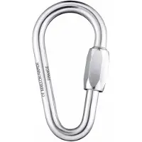 BEAL Maillon Pear Galva Karabijnhaak Zilver 10 mm