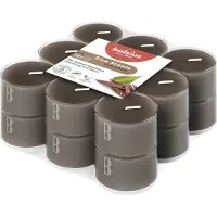 Bolsius Geurkaars True Scents Oud Wood Bruin 6 Uur D 3,7 H 2,1 Cm 18 Stuks