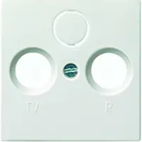 Gira System 55 centraalplaat Radio/tv - glanzend wit