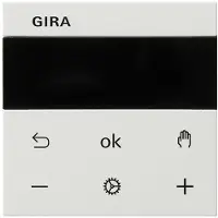 Gira Systeem 3000 Intelligent Controle Element - 539403
