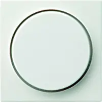 Gira Systeem 55 Besturingselement/Centrale plaat Schakelmateriaal - 065027 - E29G4