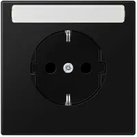 JUNG LS1520NASWM SCHUKO stopcontact met aanduiding