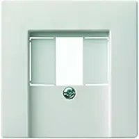 Gira Systeem 55 Schakelmateriaalinzetstuk - 027601 - E2GYR