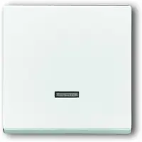 Busch-Jaeger BUSCH JAEGER 6543-84-101 - Wit - - 63 mm - 63 mm - 1 stuk
