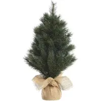 Kaemingk Mini kerstboom tafelboom Malmo miniboom h45 cm groen/wit Everlands