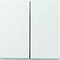 Gira Systeem 55 Besturingselement/Centrale plaat Schakelmateriaal - 029527 - E29DU