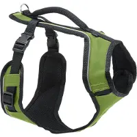 Petsafe harnas voor honden - S omtrek 46 cm - 56 cm groen fluoriserend - aanpasbaar