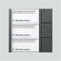 Siedle 200038793-00 Functiemodule voor Accessoires voor deurintercom Kabelgebonden Grijs