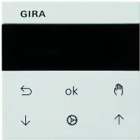 Gira Systeem 3000 Intelligent Controle Element - 536603