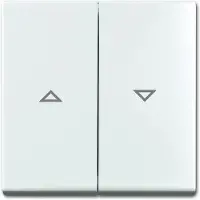 ABB Busch-Jaeger Balance SI Bedieningselement/Centrale Plaat Schakelmateriaal - 2CKA001713A0202