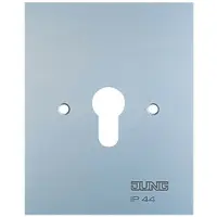 JUNG Metalen afdekplaat 125x100 mm, zonder symbolen, type 6.28 WUG (6.28WUG)