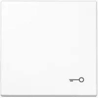 JUNG LS990 bedieningselement/centraalplaat kunststof, wit, uitvoering