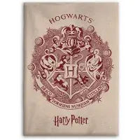 Harry Potter Fleece plaid 110 x 150 cm flanel