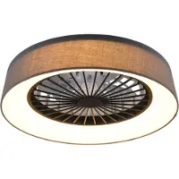 TRIO Led plafondventilator Farsund 47cm zwart