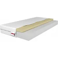 Common RINA Orthopedisch Traagschuim Matras 80x200 H3 16cm