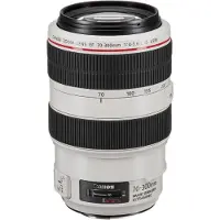 Canon Ef 70-300Mm F4-5.6L Is Usm