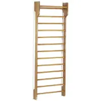 Toorx Single Wallbar - Wandrek