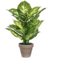 Mica Decorations Kunstplant Dieffenbachia - groen - 40 cm - in pot - nepplant - kamerplant