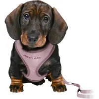Trixie junior puppytuig soft met riem lila - 26-34x1 cm/2 mtr