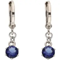 Gaya Oorbellen donkerblauw / zilver