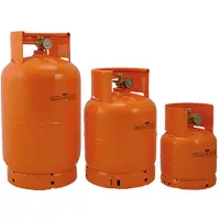 Briconess Herlaadbare gasfles voor LPG - 1 kg - inhoud 2,5 liter - diameter 17 cm x hoogte 33 cm.