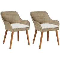 vidaXL Tuinstoel 2 st Beige poly rattan