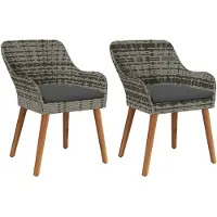 vidaXL Tuinstoel 2 st Grijs poly rattan