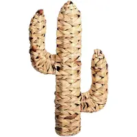 Urban Living "NATURAL LIVING" CACTUS VAN WATERHYACINT 45X25XD9CM