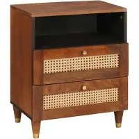 vidaXL Nachttafels met lade 50 x 33 x 62 cm Massief Mango Hout