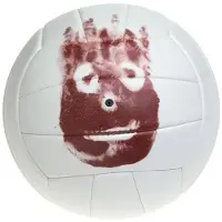 Wilson Volleyball, model Castaway WTH4615XDEF, kunstleer, heren, , 12,06 inch, hoge prestaties