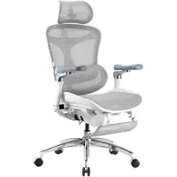 Sihoo DORO C300 PRO Ergonomische Bureaustoel - Met voetsteun - Mesh met Hoge Rugleuning - 6D-armleuningen - Wit