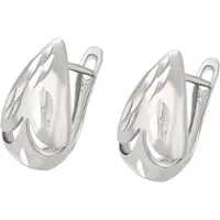 NAEMI Oorbellen zilver